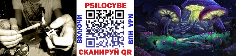 Псилоцибиновые грибы мухоморы Купить закладки Сланцы
